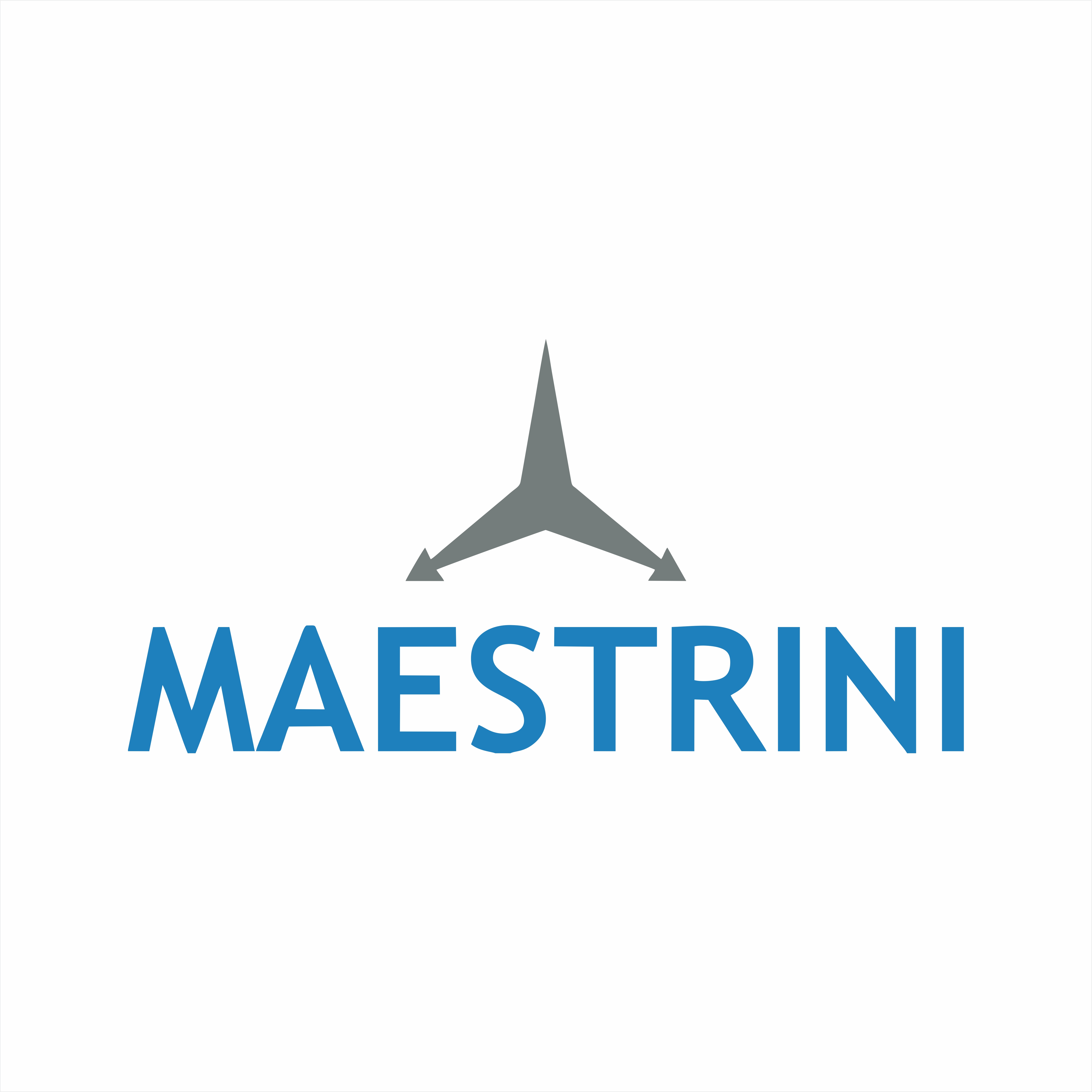 suplier IMAGE: Maestrini